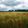 Ach fields