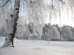 Winter dreams by feainne-stock
