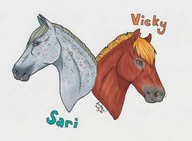 My horses - Sari and Vicky