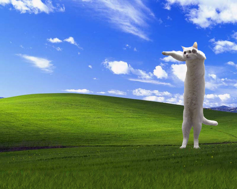 Longcat invades Windows XP by Kundendienst on DeviantArt