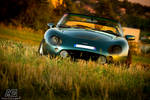TVR Griffith 500 by alexisgoure