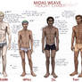 MW - Height Chart