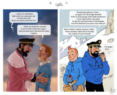 Tintin - Compare the Pair