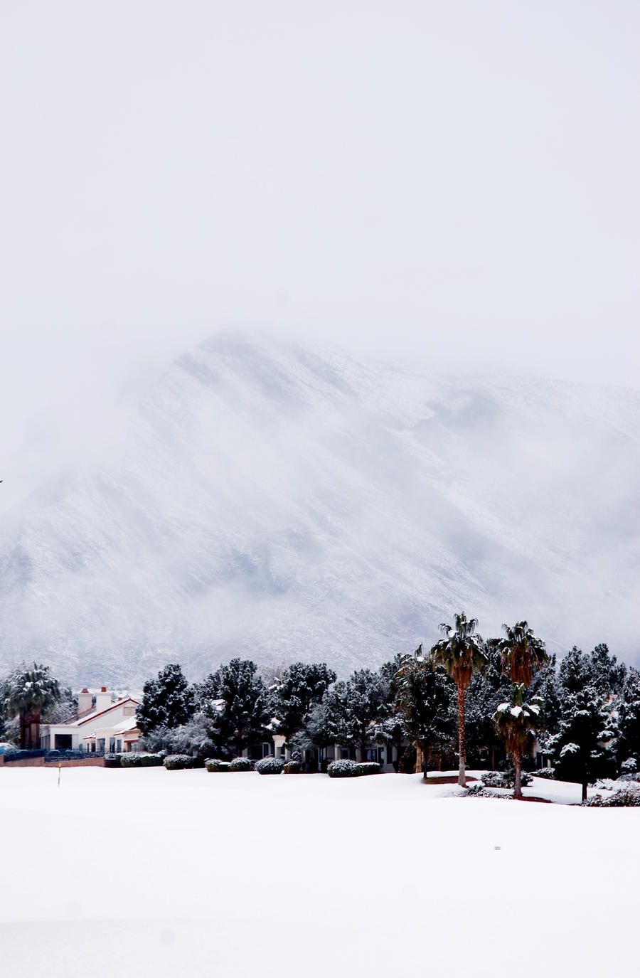 Snowy Landscape 1