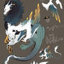 Dragon OC Design
