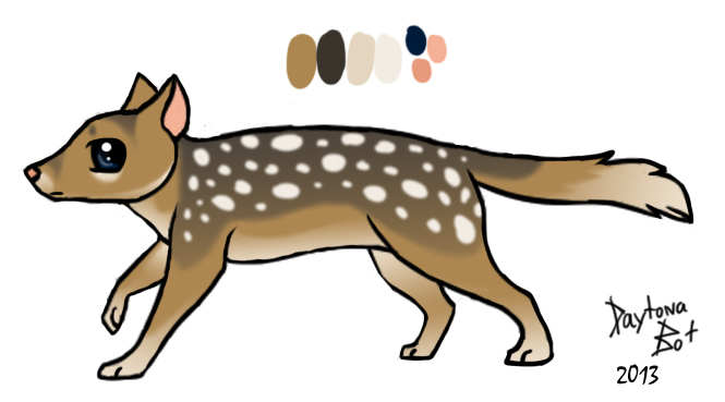 Quoll Character: *NAME DECIDED*