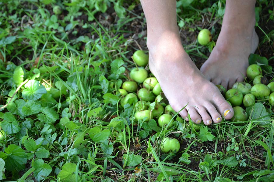 Girl with apples 68