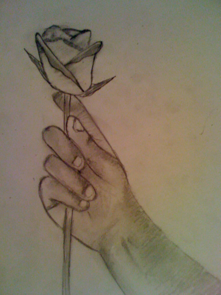Rose in Hand by jamesxd on DeviantArt