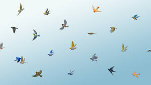 Waltz for little birds wallpaper2