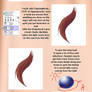 Hair-Color-Tutorial for SAI