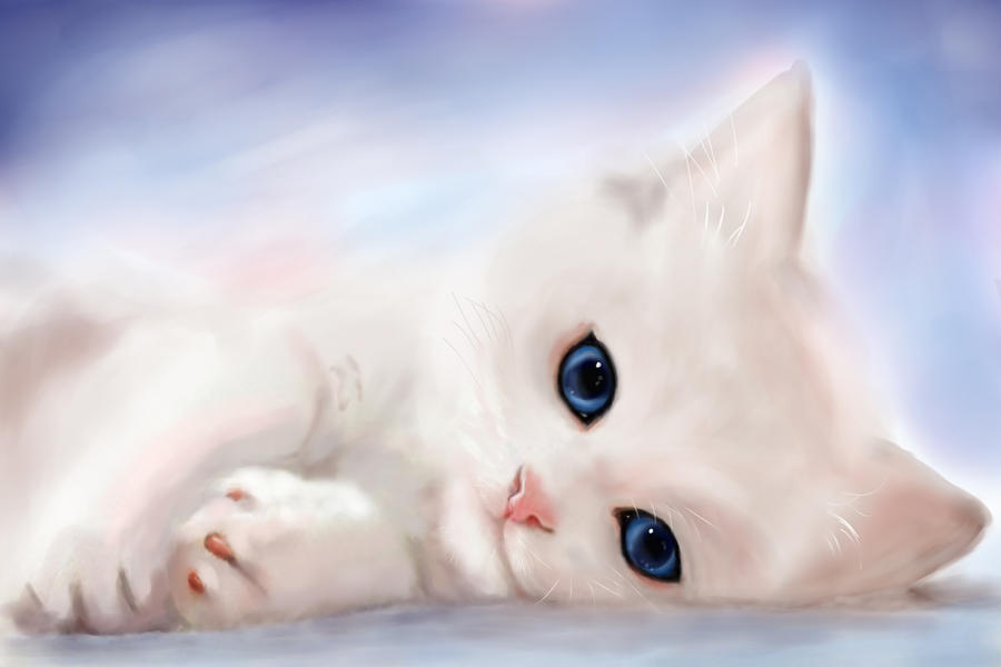 Cat Cute by Annrov