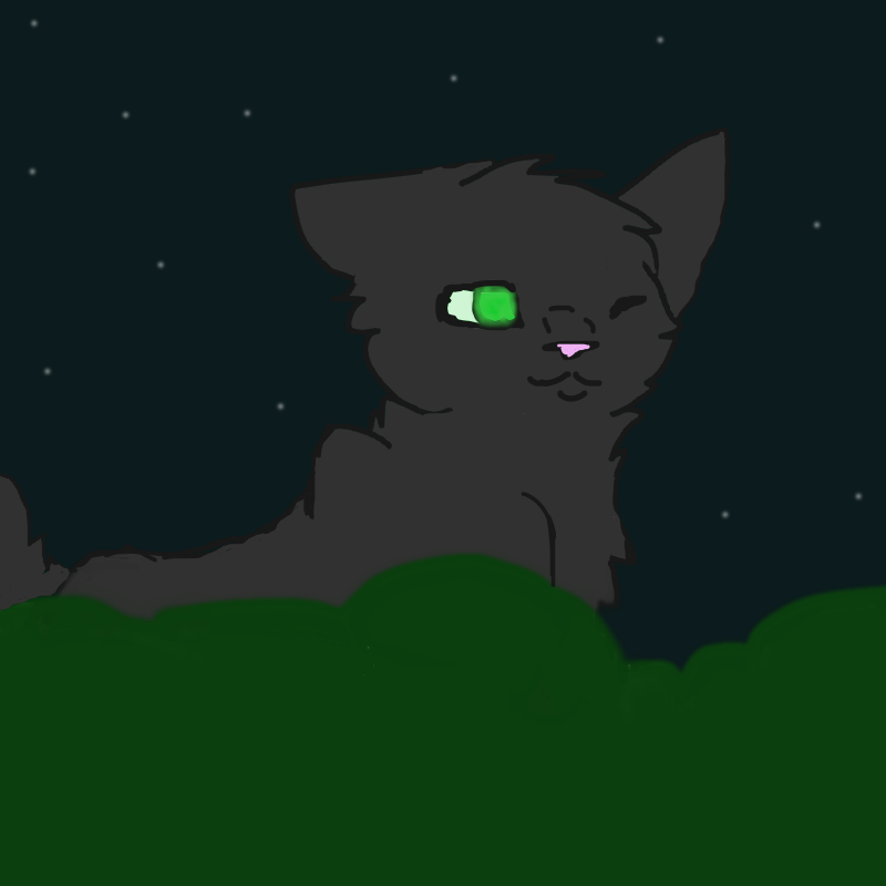 Hollyleaf