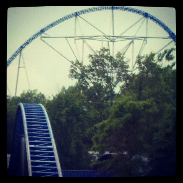 millennium force