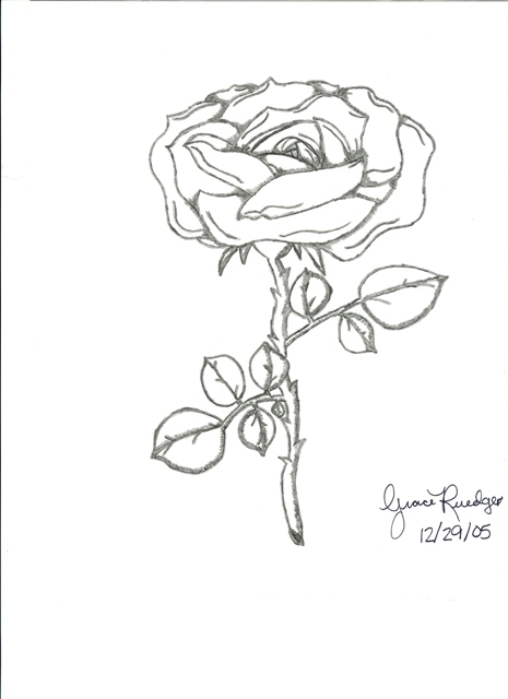 a single rose