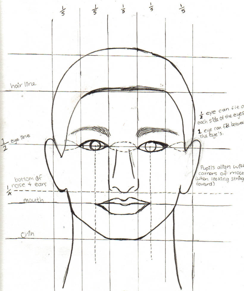 Лицо рисунок схема. Пропорции лица человека при рисовании портрета схема. Схема пропорций головы. Пропорции головы человека при рисовании портрета схема. Конструкция головы человека и ее пропорции рисунок.