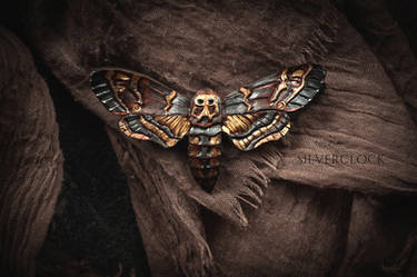 death's head HAWK MOTH  - leather brooch for sale