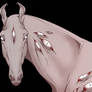 Horse \ eyes
