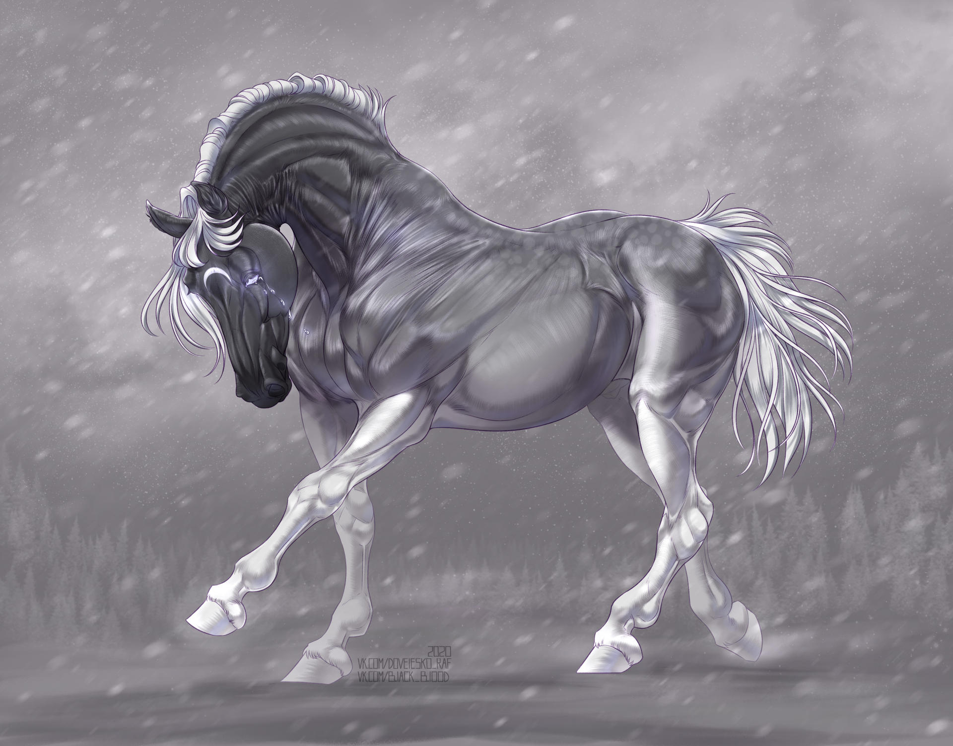 Horse