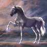Crying horse