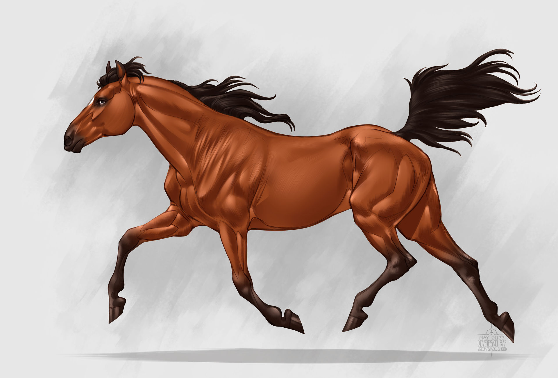 Horse by RaphaelDovelesco on DeviantArt