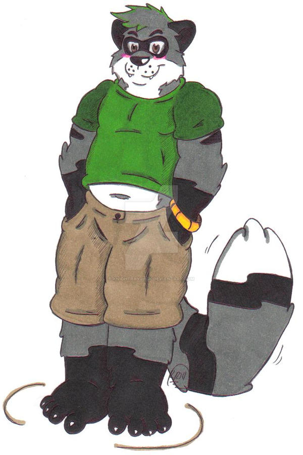 Jimminy Racoon New OC: Jimmy the Raccoon by KnightRayjack on DeviantArt