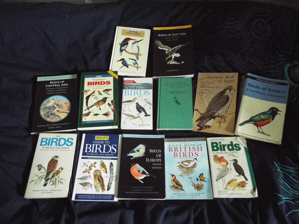 Bird Field Guide Collection (1) by Parrotmecium on DeviantArt