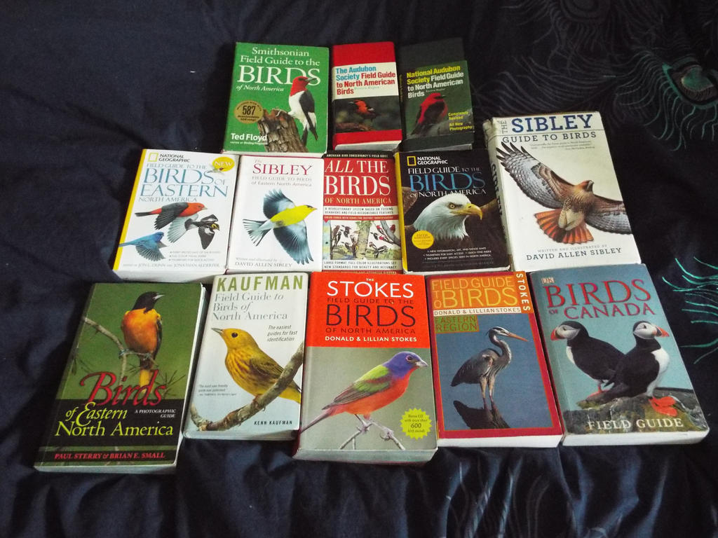 Bird Field Guide Collection (4) by Parrotmecium on DeviantArt