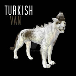 Turkish Van Preset
