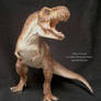 Tyrannosaurus rex 1/15 scale