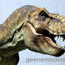 T Rex 1/8 scale 5 feet in length close up