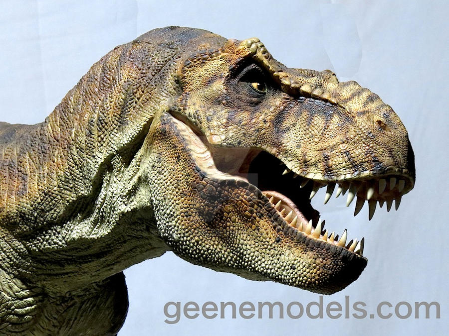 T Rex 1/8 scale 5 feet in length close up