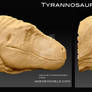 Tyrannosaurus Head.