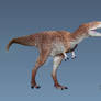 Baby Tarbosaurus