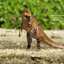 Acrocanthosaurs Articulated 1:35 scale