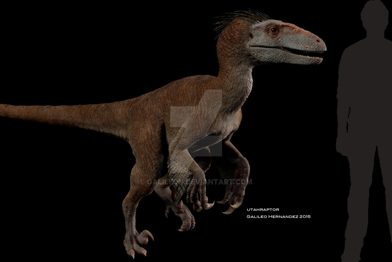 Utahraptor by GalileoN on DeviantArt