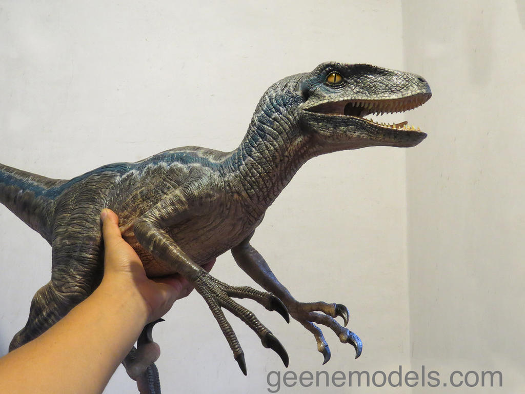 Raptor 4 feet long New color . by GalileoN on DeviantArt