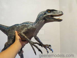 Raptor 4 feet long New color .