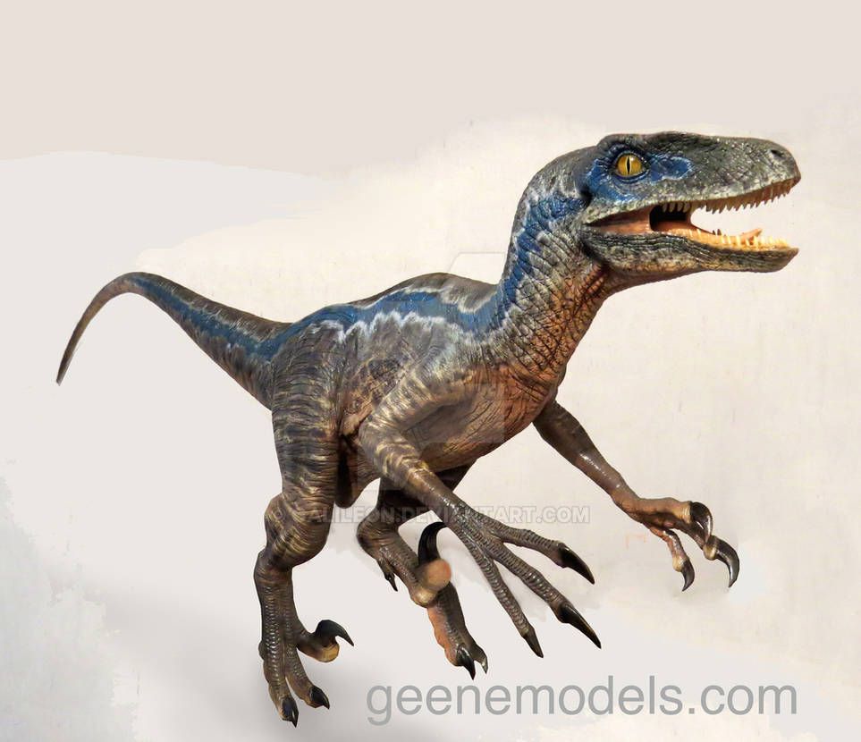 Raptor 4 feet New color by GalileoN on DeviantArt