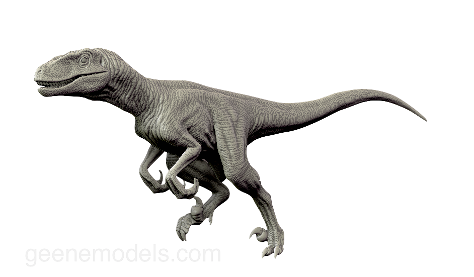 Raptor running by GalileoN on DeviantArt