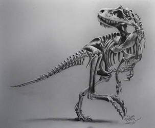 Mr. T-Rex by MrEyeCandy66