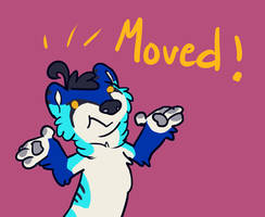 MOVED!!