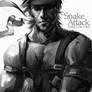 Solid Snake