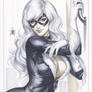 Black Cat Original 1