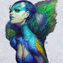 Peacock Queen