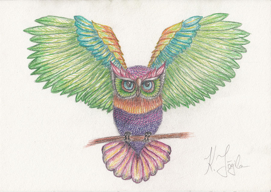 Owl