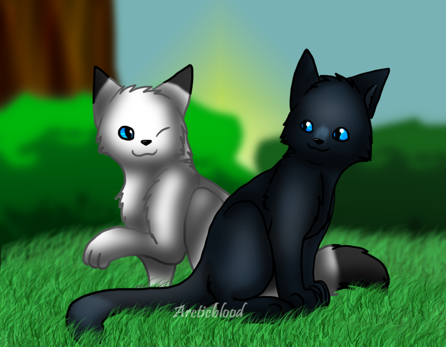 Clans of Warrior cats by bleachIchiRuki69357 on DeviantArt