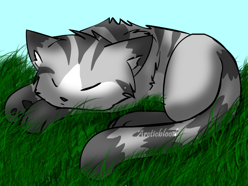 Sleeping Ivypaw