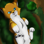 Foxpaw and the moss