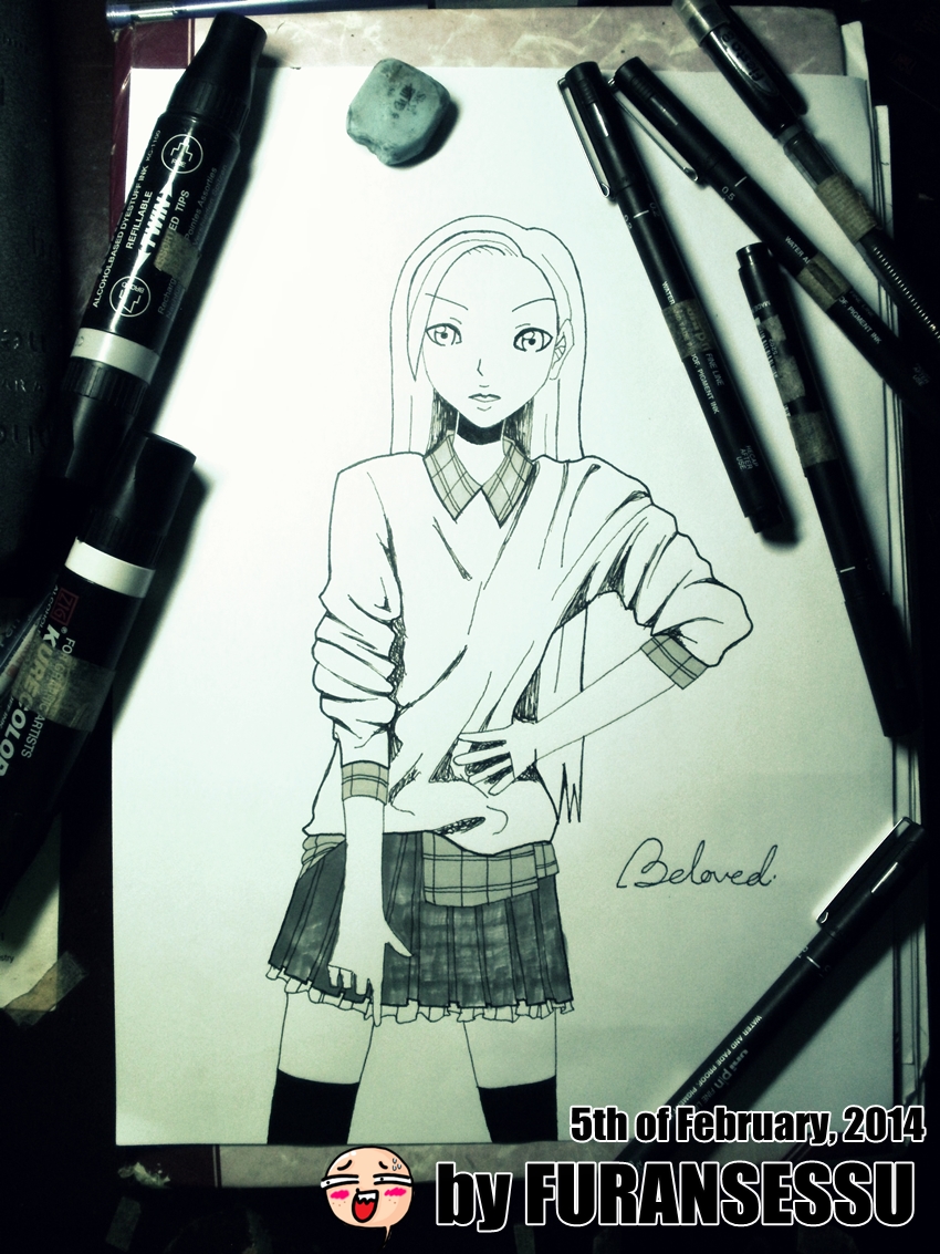 Ordinary High School Girl