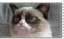 Grumpy Cat stamp